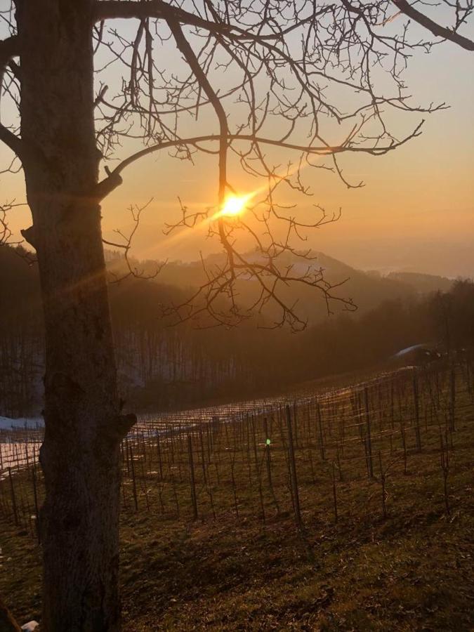 Gaestezimmer Klopfer Sankt Johann im Saggautal Luaran gambar