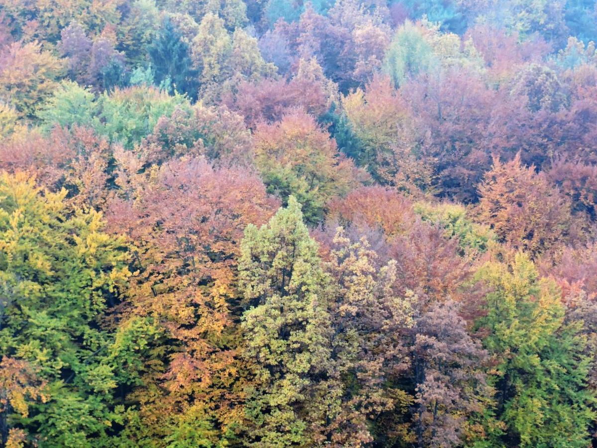 Gaestezimmer Klopfer Sankt Johann im Saggautal Luaran gambar